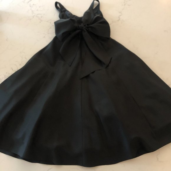 Cache Black Empire Waist Taffeta Maxi Dress - Picture 6 of 12